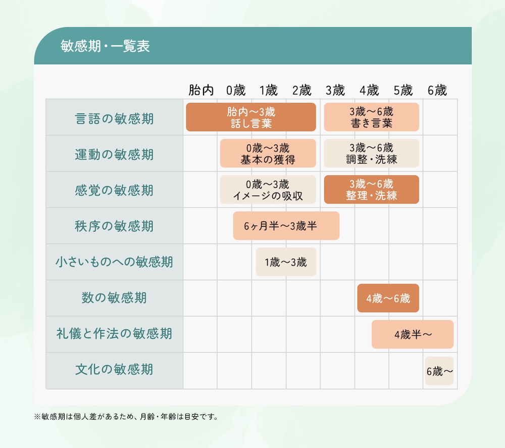 敏感期一覧表